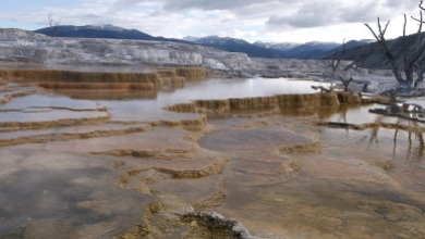 upper terrace mammoth hot springs yellowstone