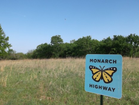 Kansas Monarch Highway