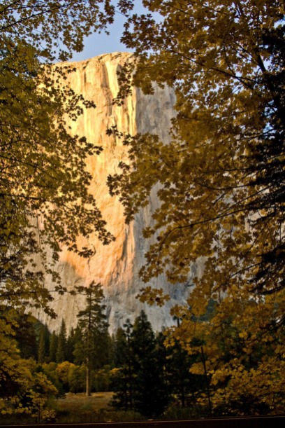 Bill King Yosemite Excursions 10